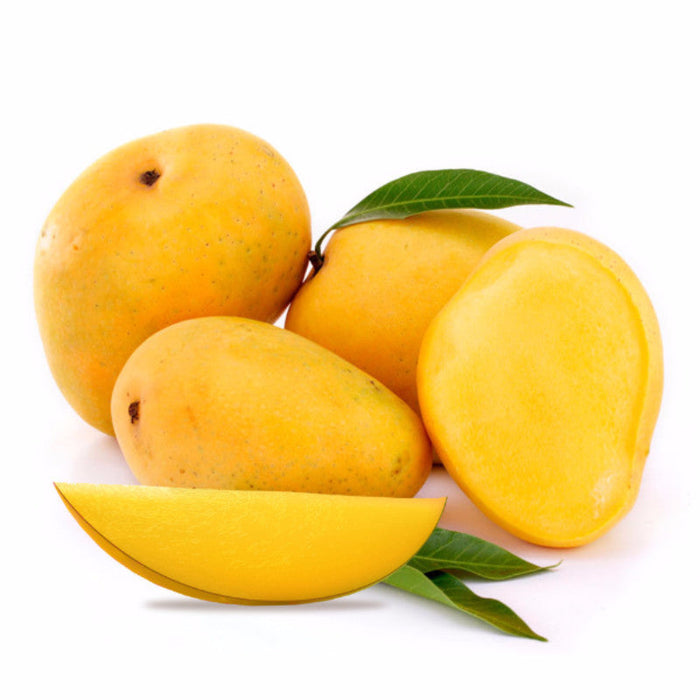 Mango Kesar (Grafted)- Fruit Plants & Tree