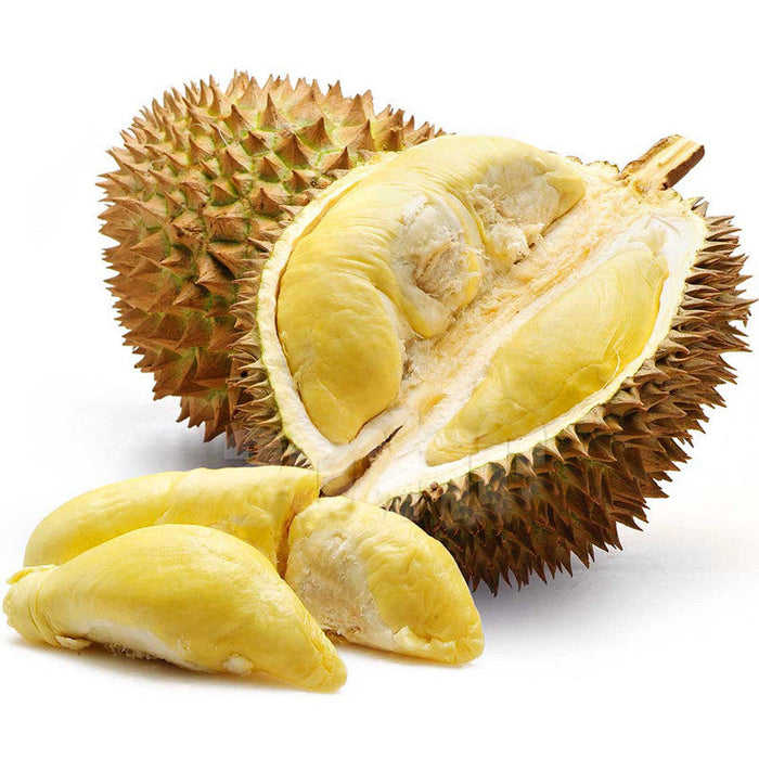 Durian Fruit - Fruit Plants & Tree