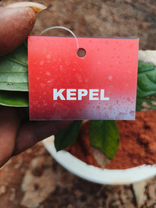 Kepel - Fruit Plants & Tree