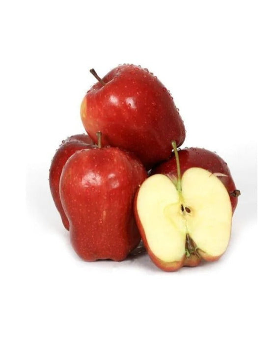 Apple Red (Grafted) HRNM 99- Fruit Plants & Tree