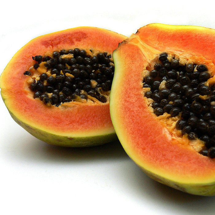 Red Papaya - Fruit Plants & Tree