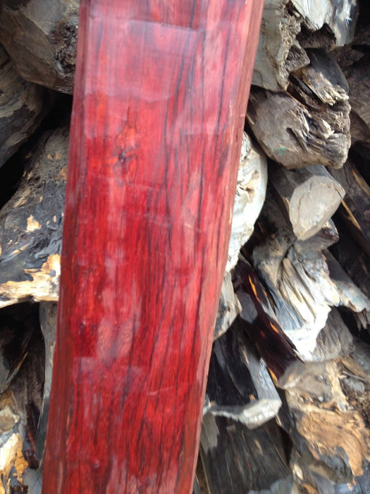 Red Sanders/Red Sandalwood - Avenue Trees