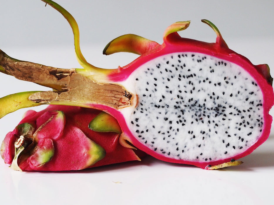 Dragon Fruit - Fruit Plants