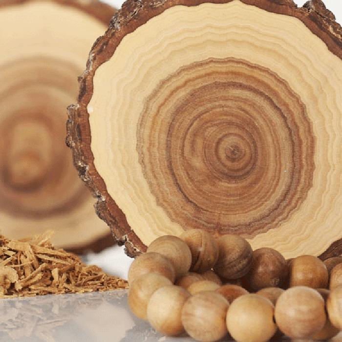 Indian Sandalwood - Avenue Trees